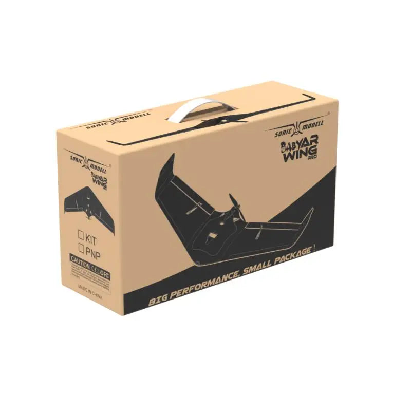 Flying Wing High-Performance Aircraft RC Airplane